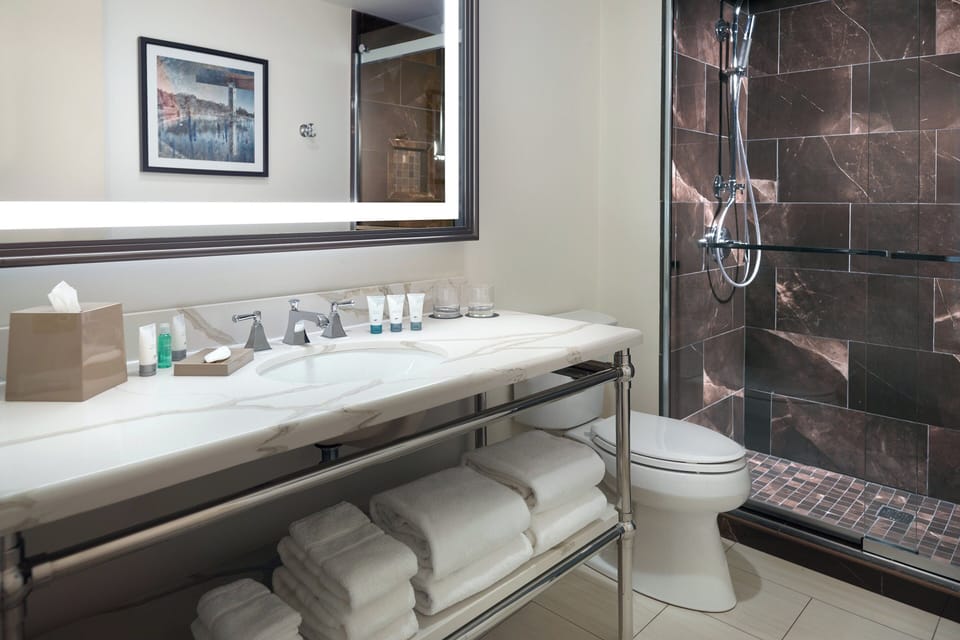 Rainfall showerhead, hair dryer, bathrobes, towels