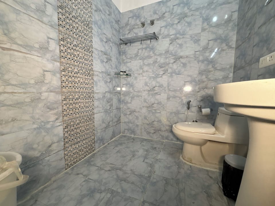 Deluxe Room | Bathroom | Shower, free toiletries, towels