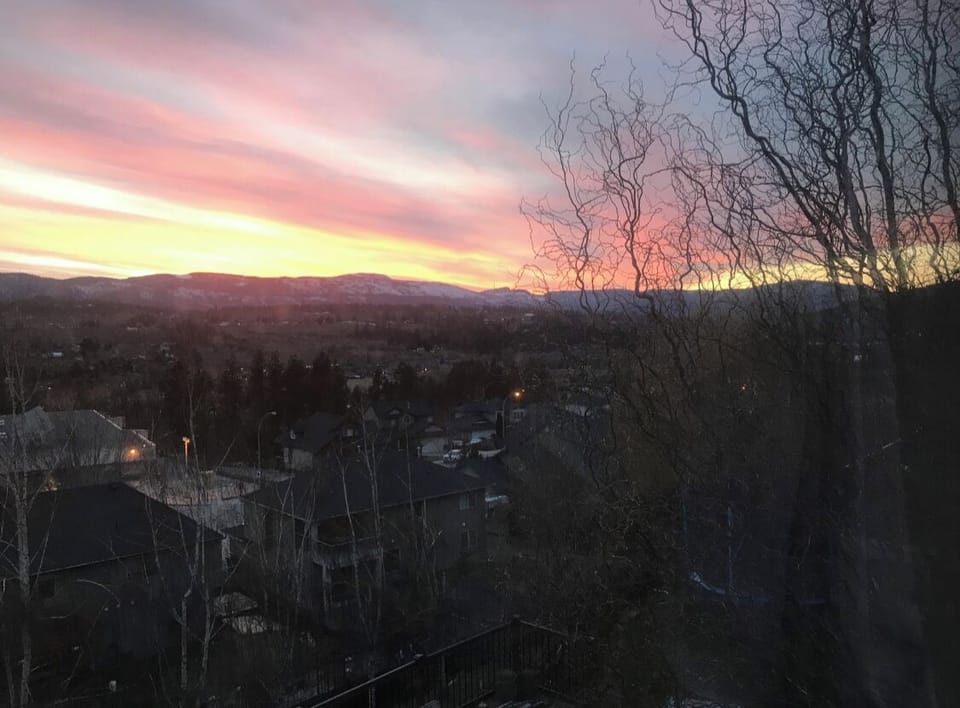 View from the back yard 