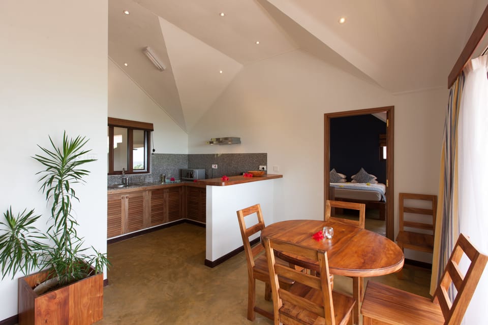 Apartment, 2 Bedrooms, Ocean View | Private kitchenette | Coffee/tea maker, full-size fridge, microwave, stovetop