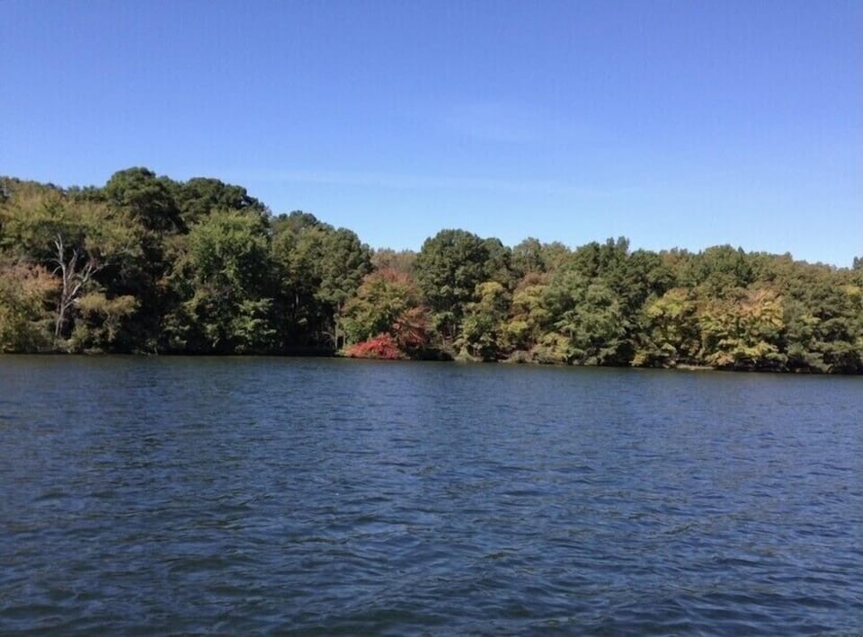 Lake Hamilton 
