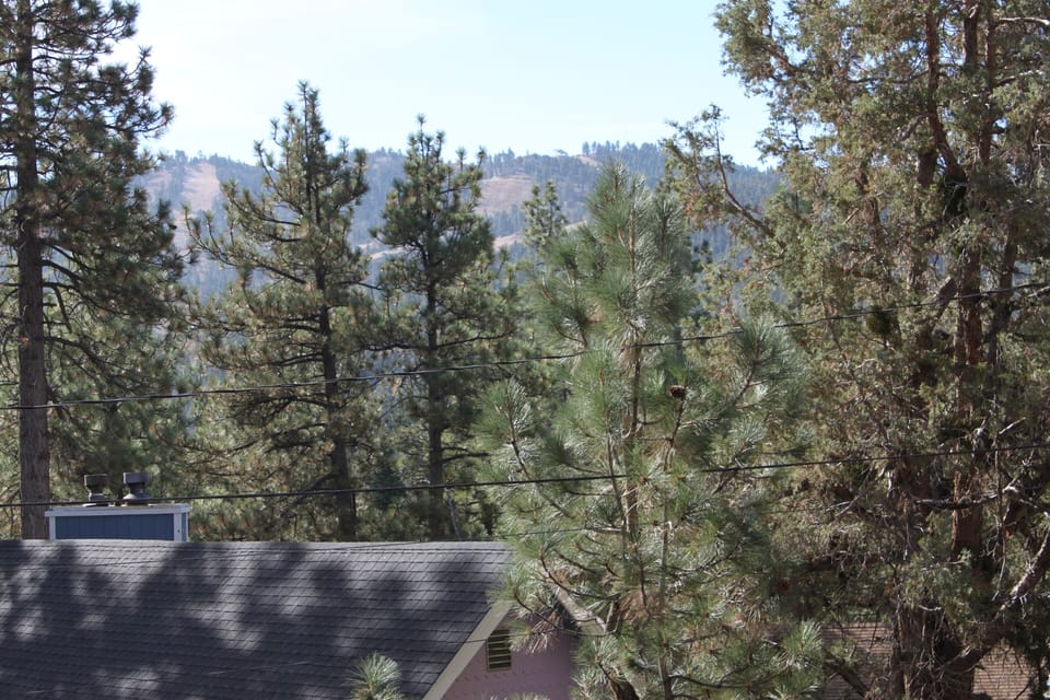 Partial Ski Slopes View from Deck. 