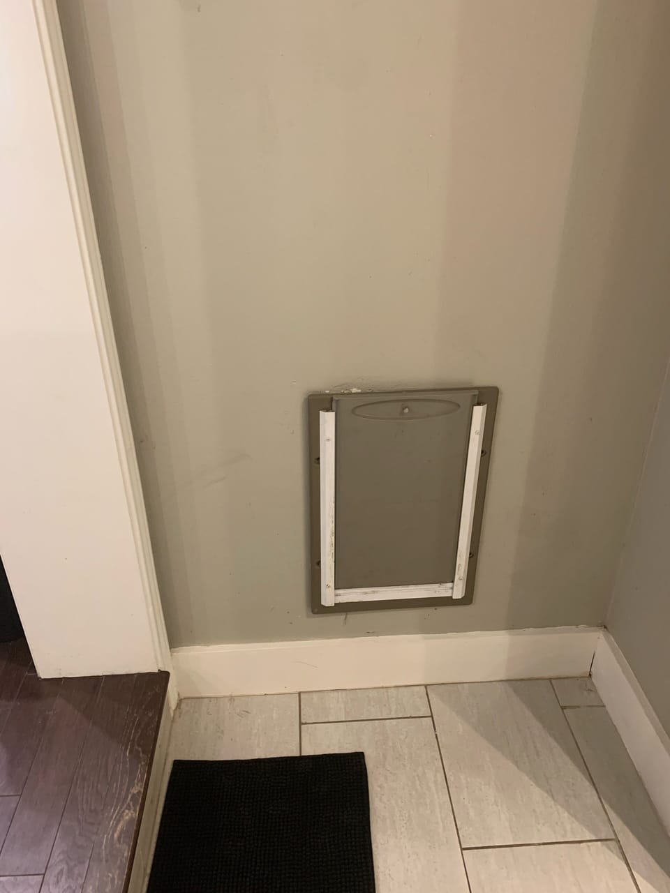 Doggy door going into fenced back yard