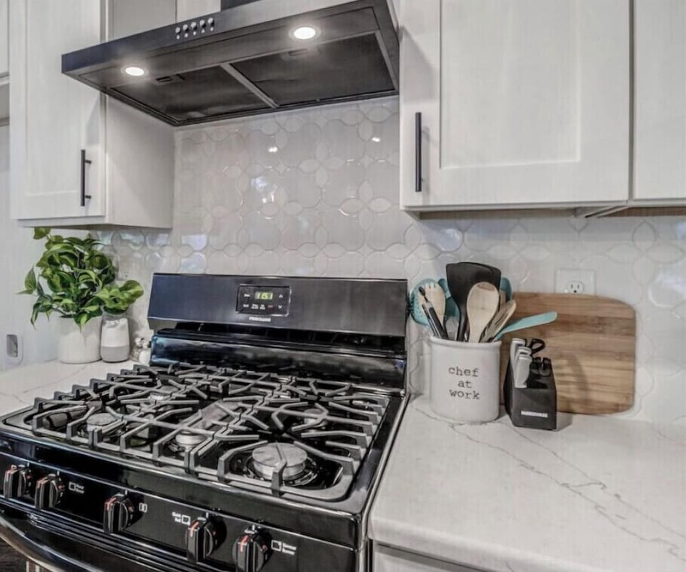Gas stove for cooking 