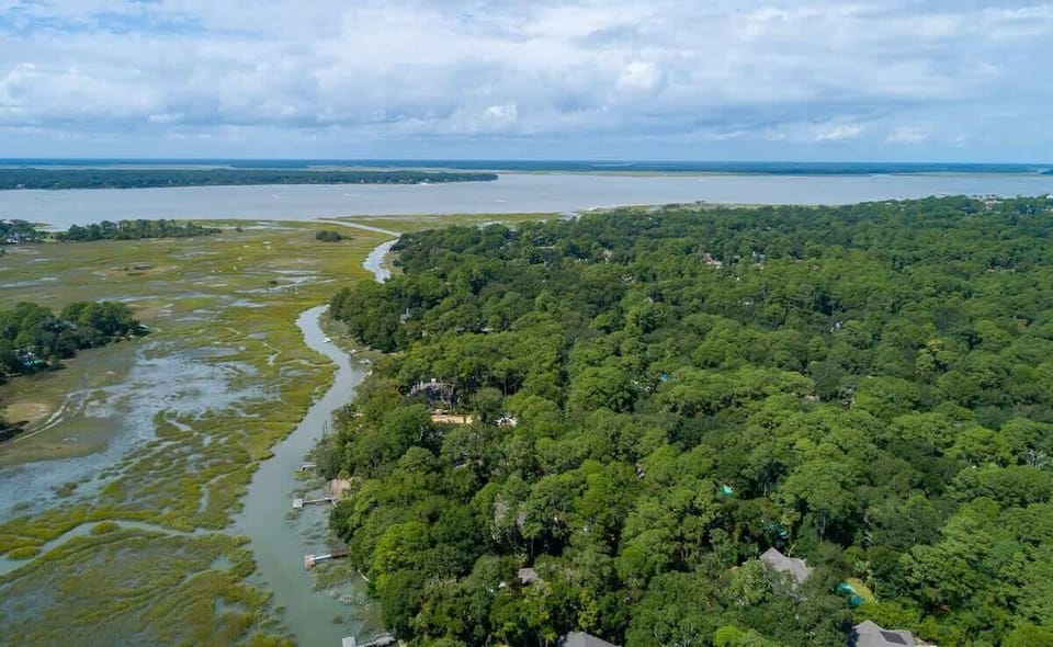 Aerial view showcasing pristine coastal marshlands, winding waterways, and lush forest canopy extending to the expansive blue horizon.