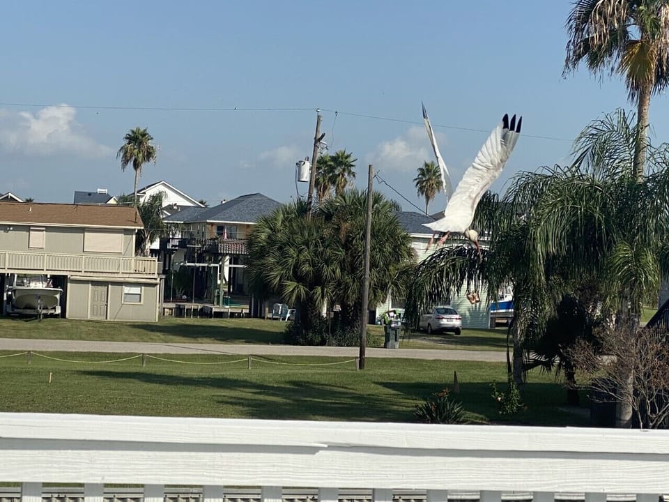 Captured during the day!