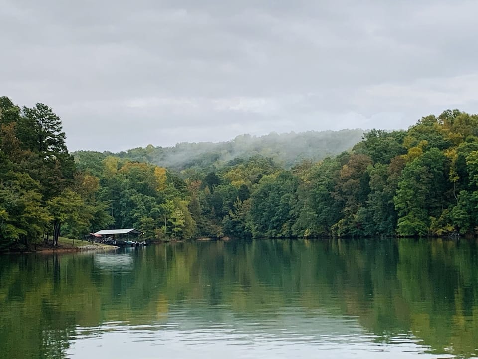 Leaves starting to change in early October.