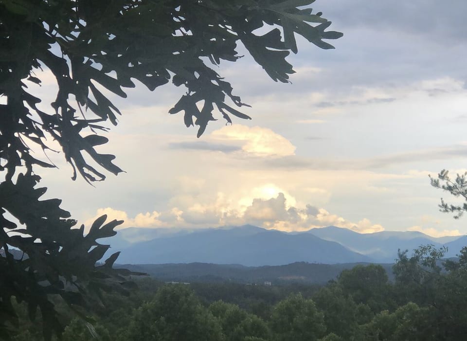 A few board games for a rainy day 