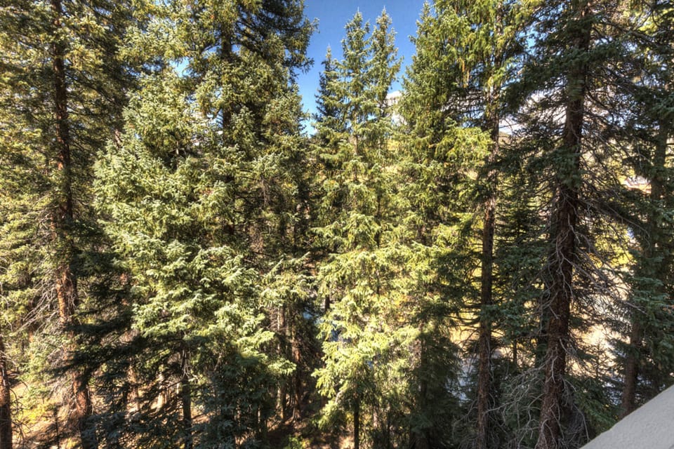 Condo, 2 Bedrooms | Property grounds