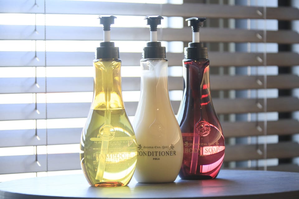 Combined shower/tub, free toiletries, hair dryer, slippers