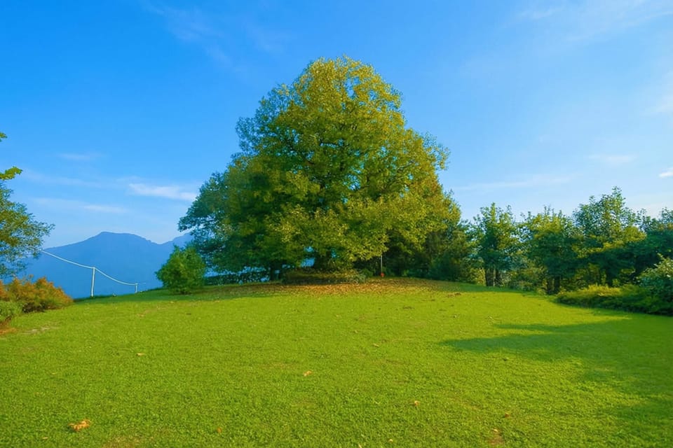 Family Villa, Multiple Bedrooms, Mountainside (Villa Il Castagno) | Exterior