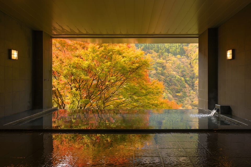 Hotel Iyaonsen Ryokan in Japan