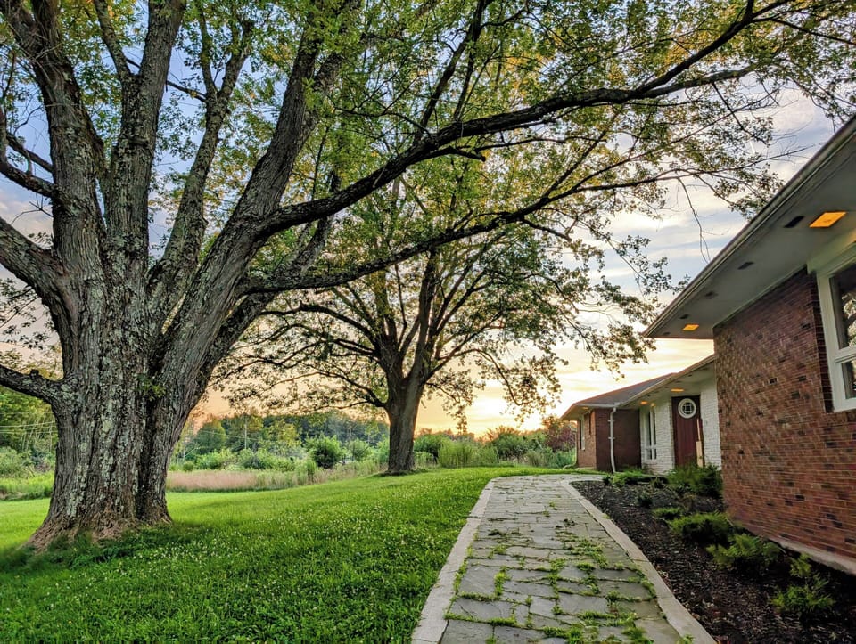 Front yard to entry 