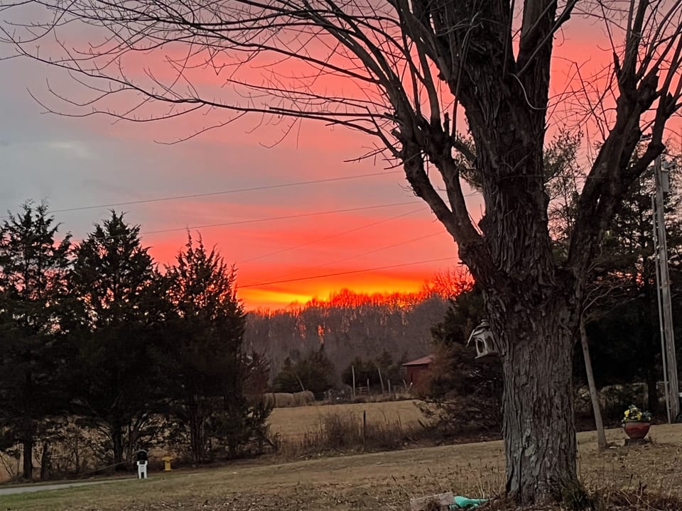 Sunset sitting on the front porch