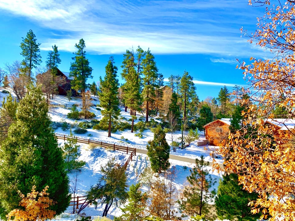 Front Yard Winter View