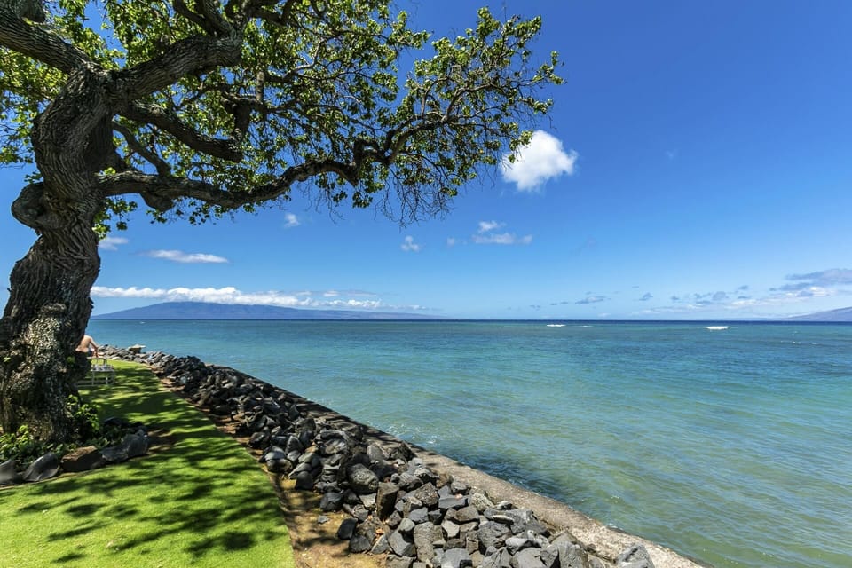The property sits along a serene shoreline with calm turquoise waters, a lush green lawn, and a shady tree overlooking distant island views under clear blue skies.