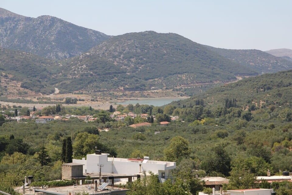 Scenic View from the House – Overlooking the mountains and natural surroundings.