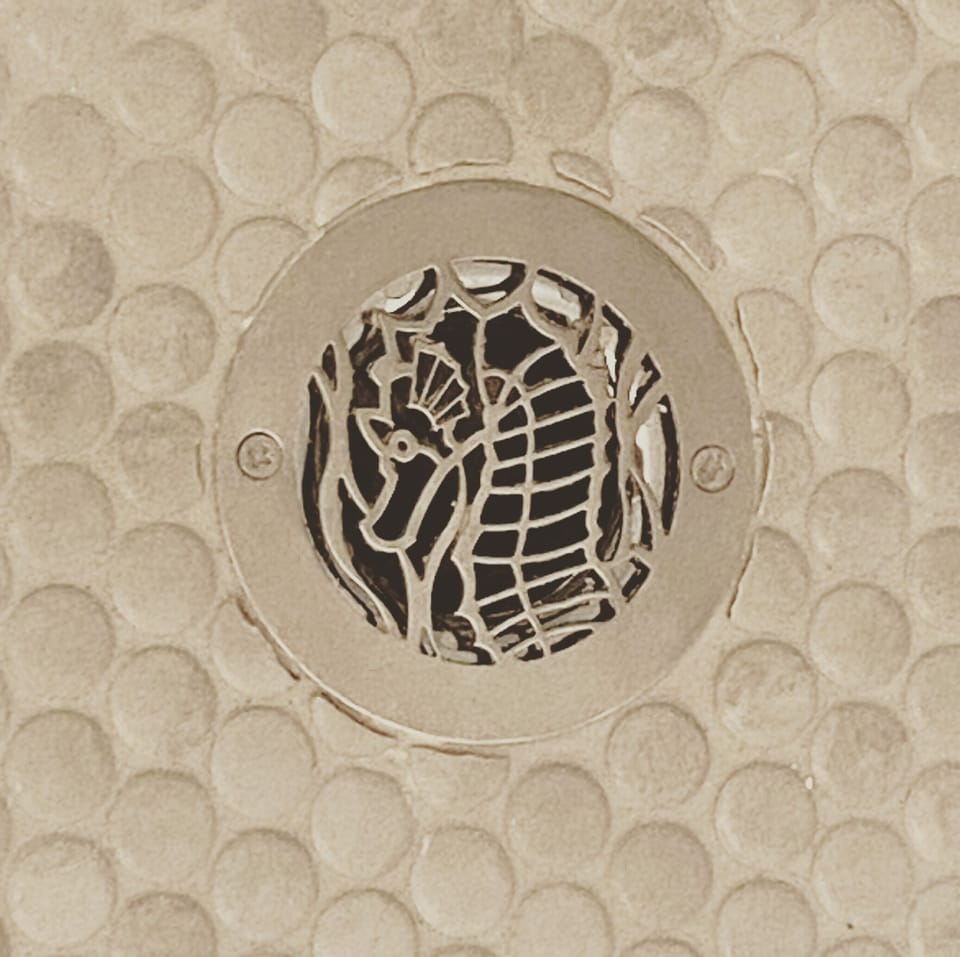 No detail overlooked at The Salty Seahorse 💙 (shower drain)
