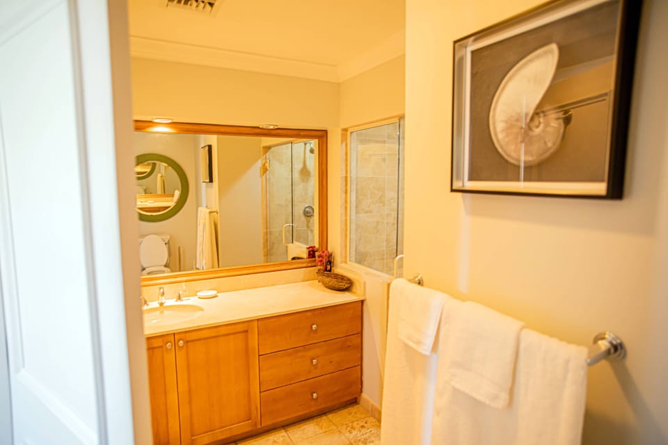 GUEST BEDROOM BATHROOM