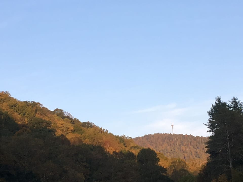 Leaves are changing 10/8/2020