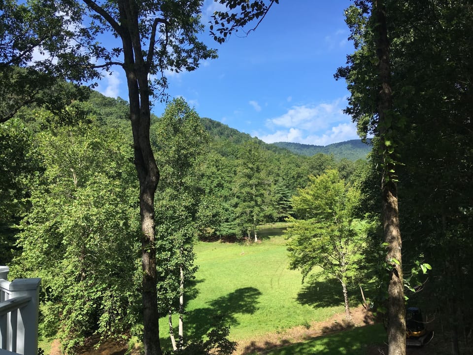 View off the deck summer time