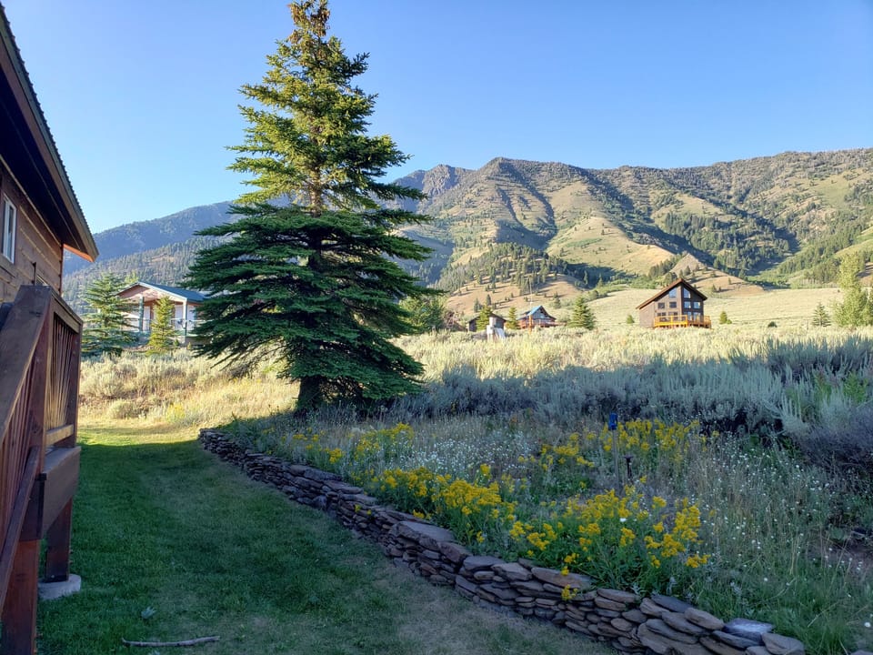 View from backyard