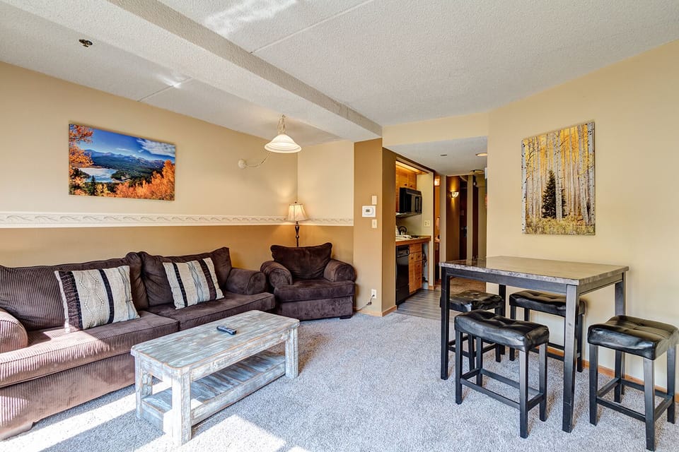 Living Room Area