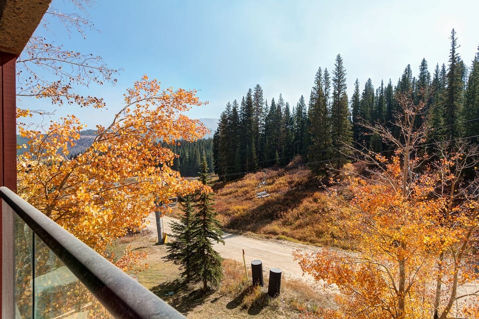 Fall View from Balcony