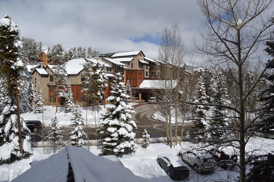 winter view