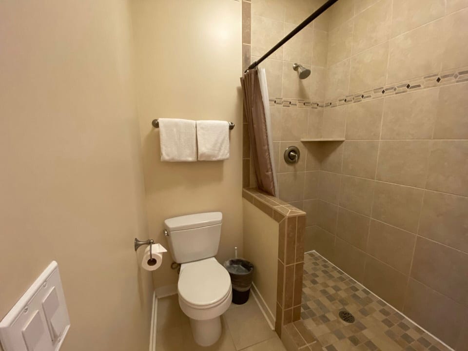 Master bath with walk-in shower