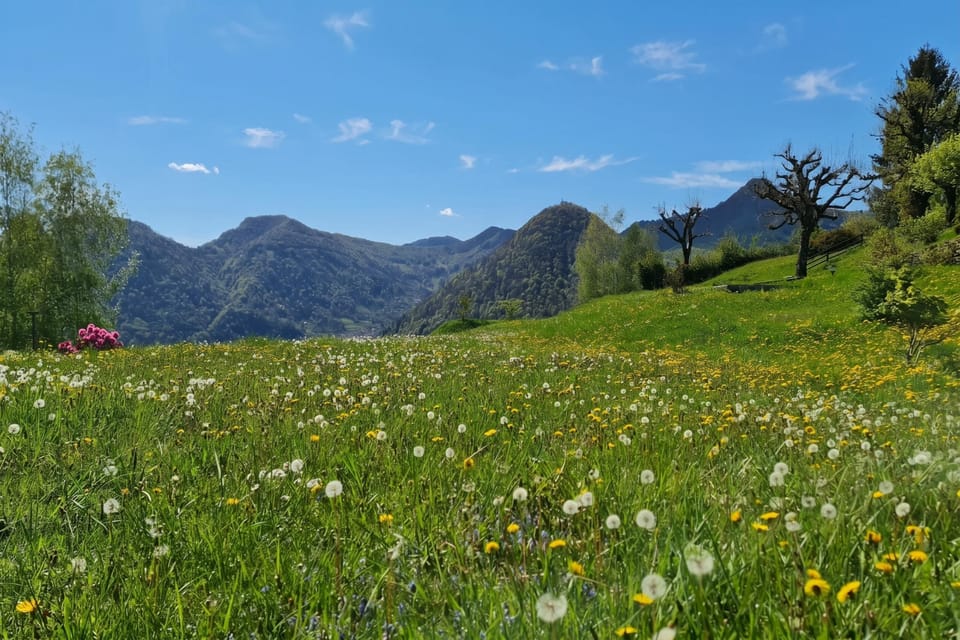 Family Villa, 6 Bedrooms, Microwave, Mountainside (Villa Intelvi) | Garden