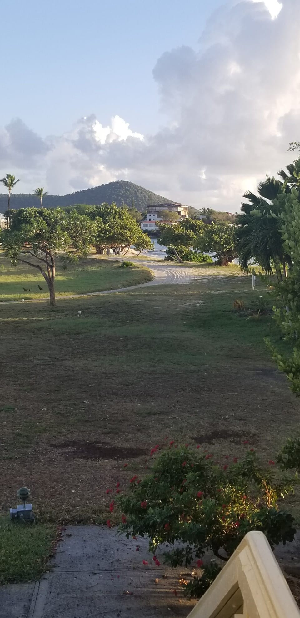 View from the door