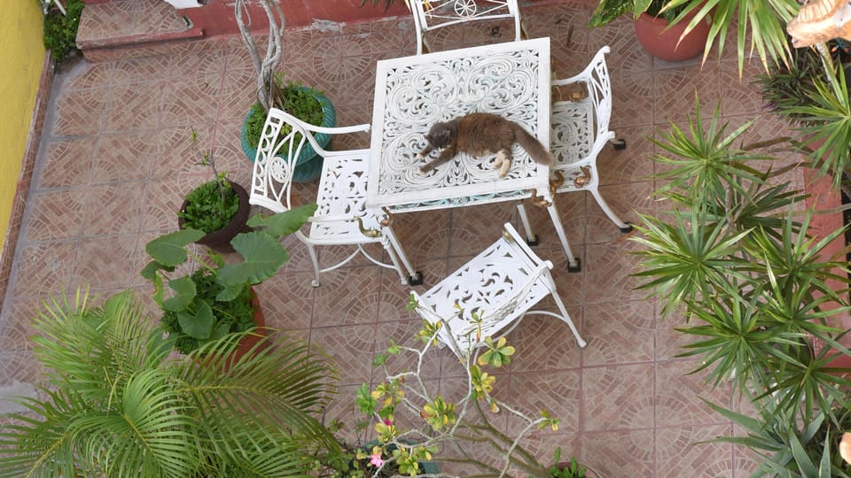 Shared Dormitory, 1 Bedroom, Patio | Terrace/patio