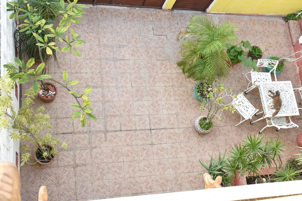 Shared Dormitory, 1 Bedroom, Patio | Exterior