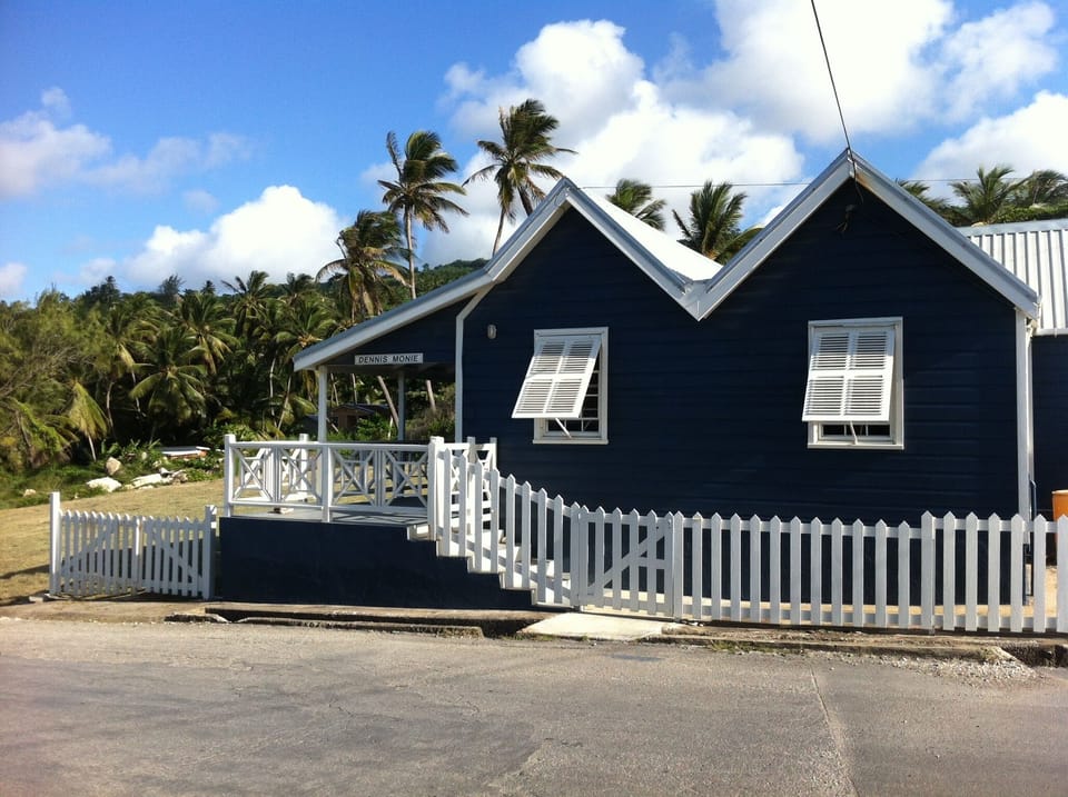 View of cottage from across the street. New house colour.
