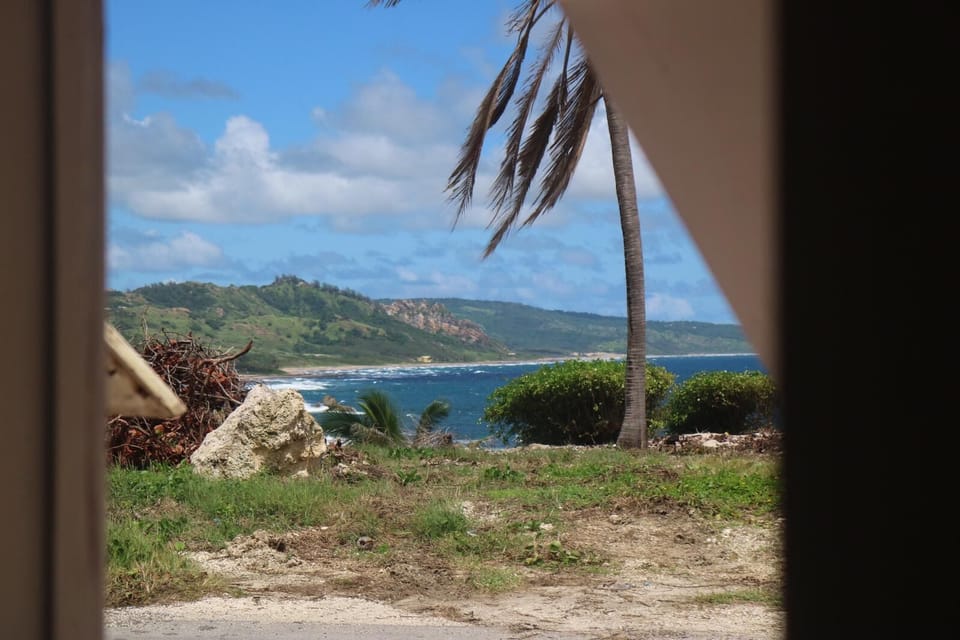 View from Dining room
