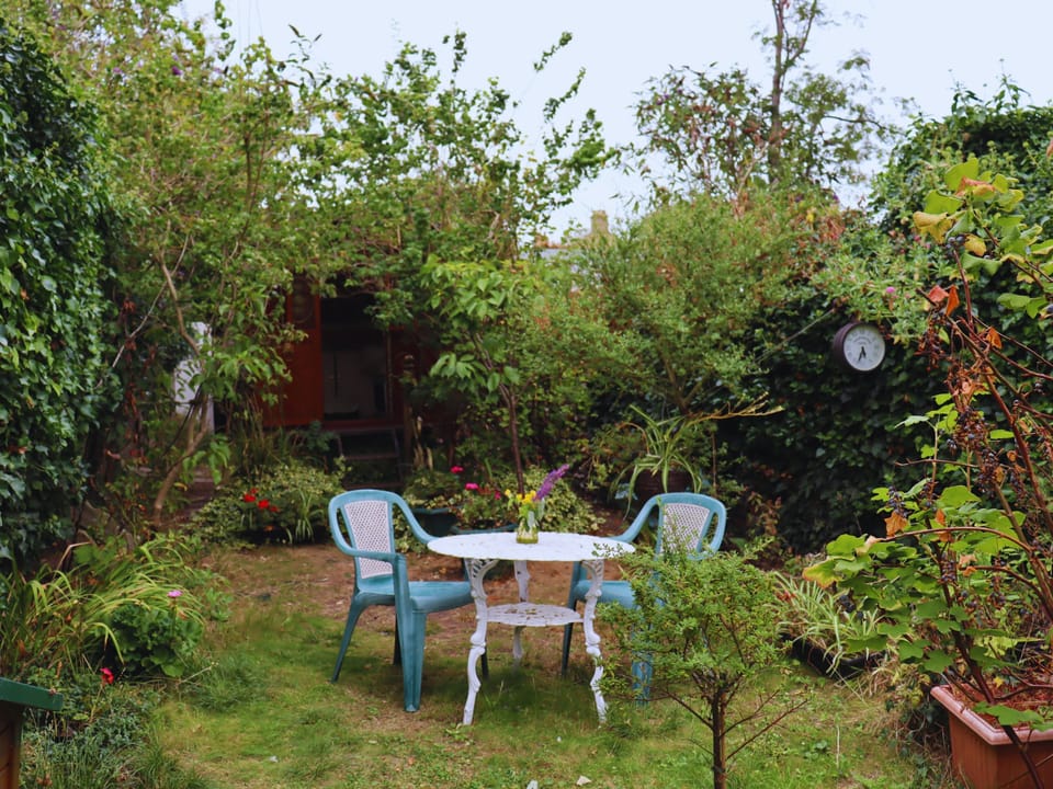 Outdoor garden and furniture