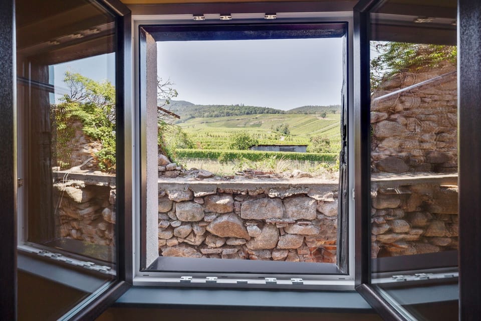 View from Holiday Home [summer]