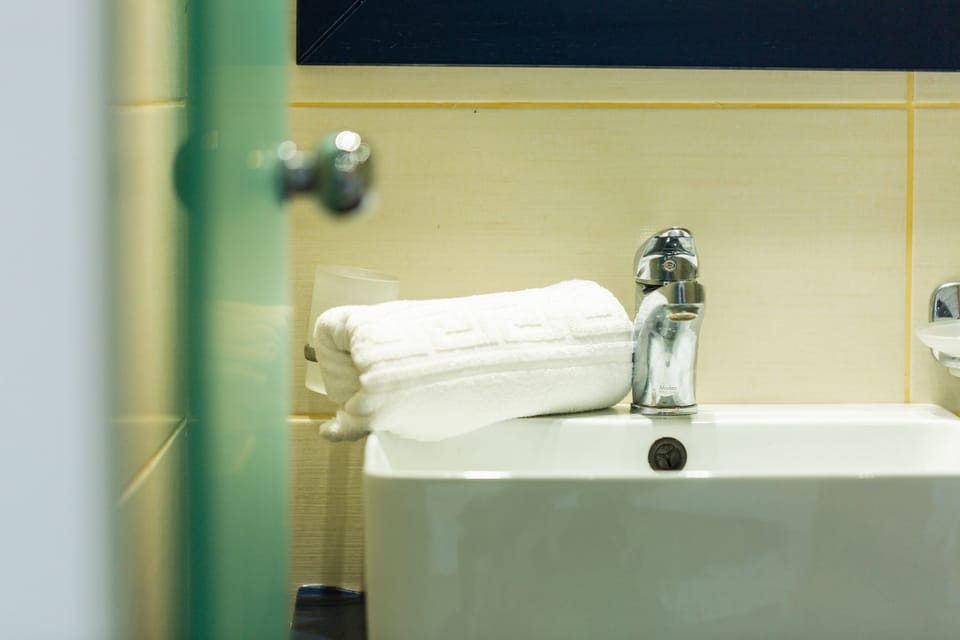 Shower, free toiletries, hair dryer, towels