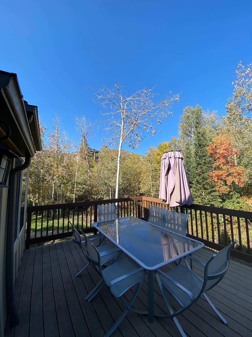 Deck view in Fall; Grand Summit Hotel just above in the trees