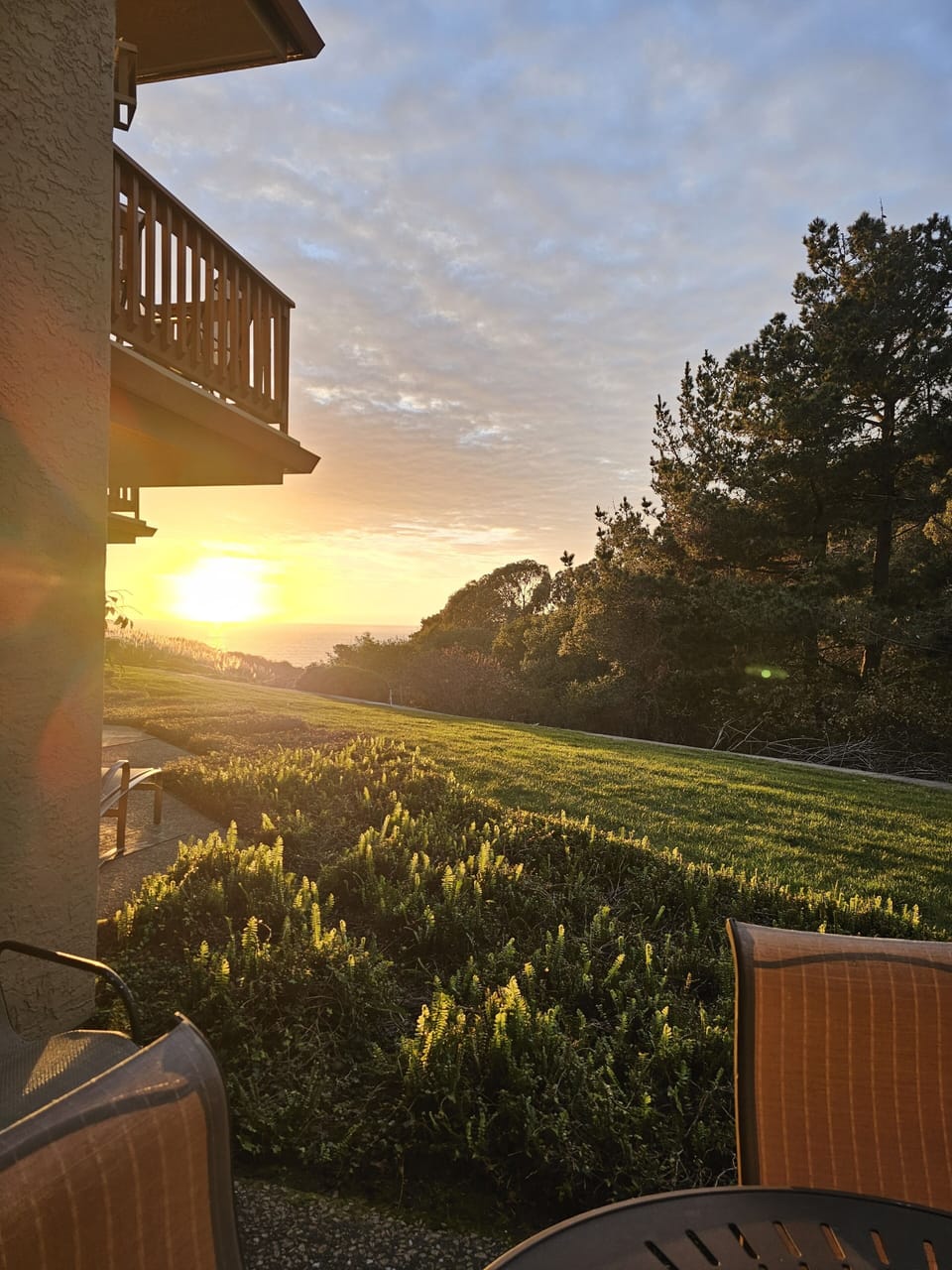 Winter View from living room patio
