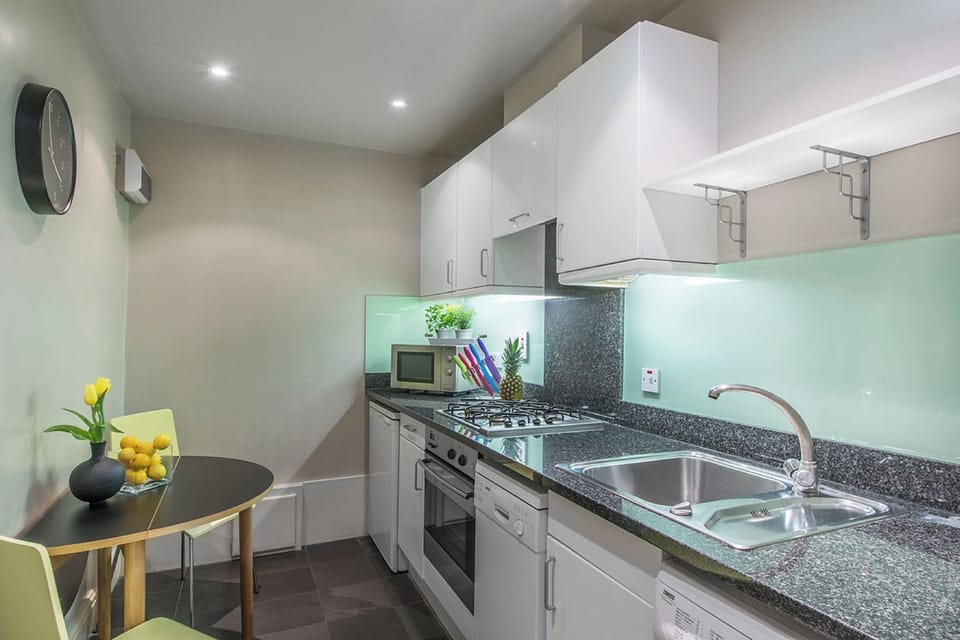 Apartment | Private kitchen | Full-size fridge, microwave, oven, stovetop