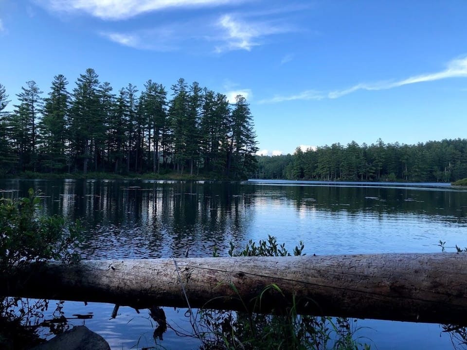 Lowell Lake State Park (3 miles away) fishing for largemouth bass and panfish