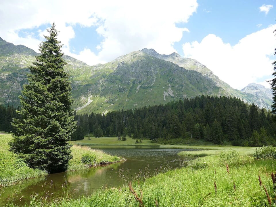 Body Of Water, Green, Natural Environment, Nature, Mountainous Landforms, Natural Landscape, Mountain, Highland, Wilderness