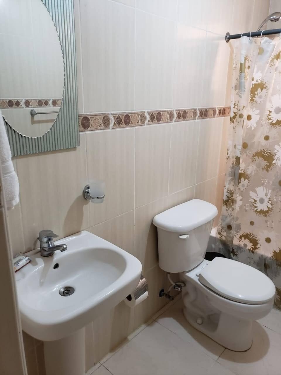 Basic Apartment | Bathroom | Shower, towels, soap, shampoo