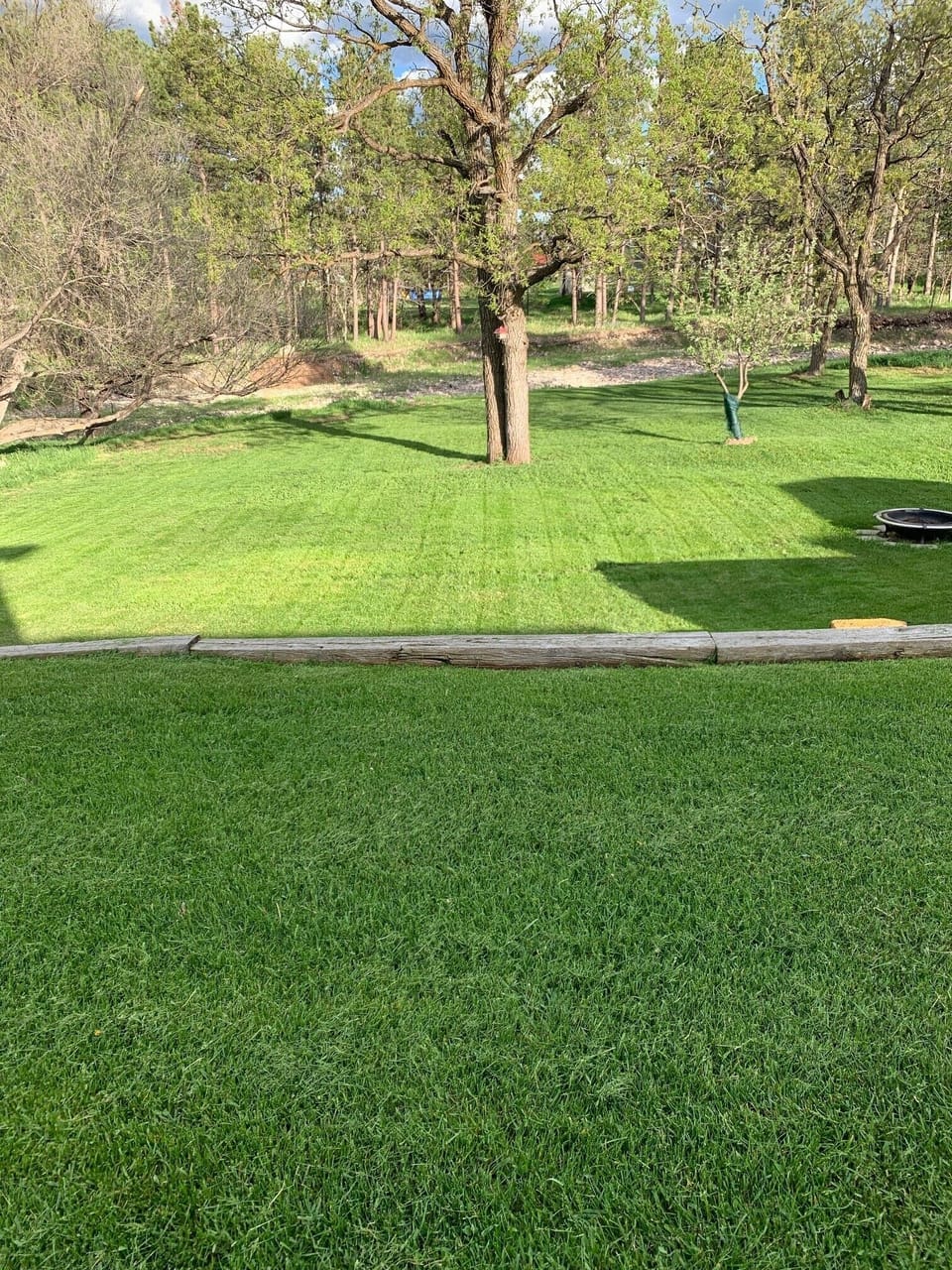 Large back yard