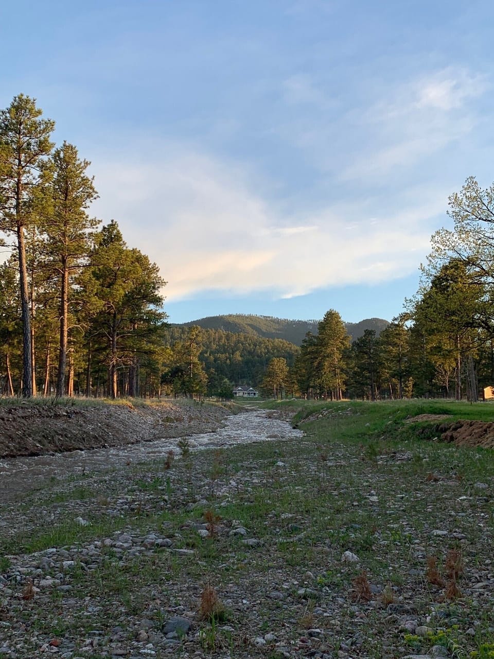 View from creek in back yard