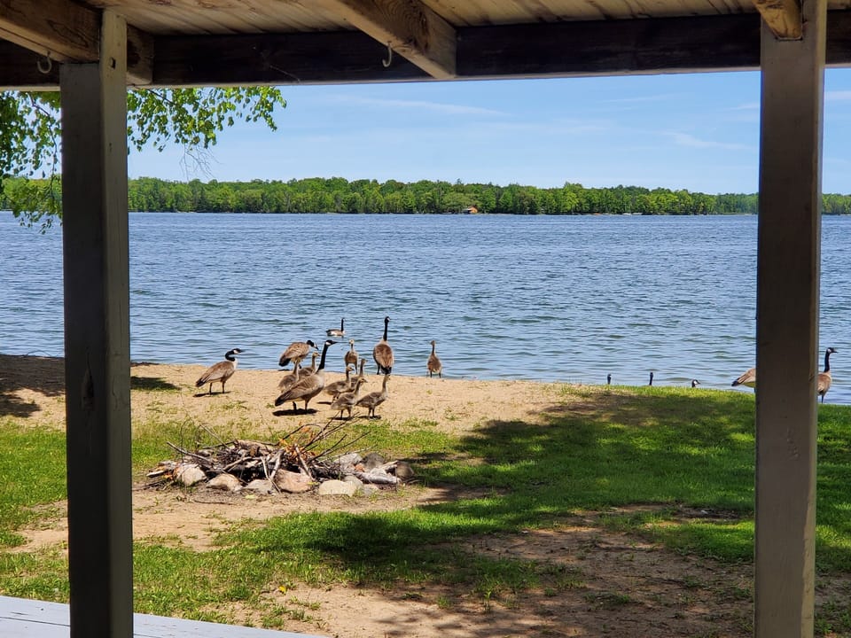 View from property