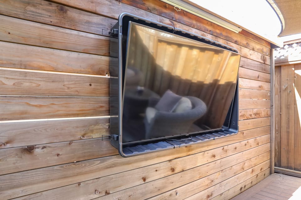 Television