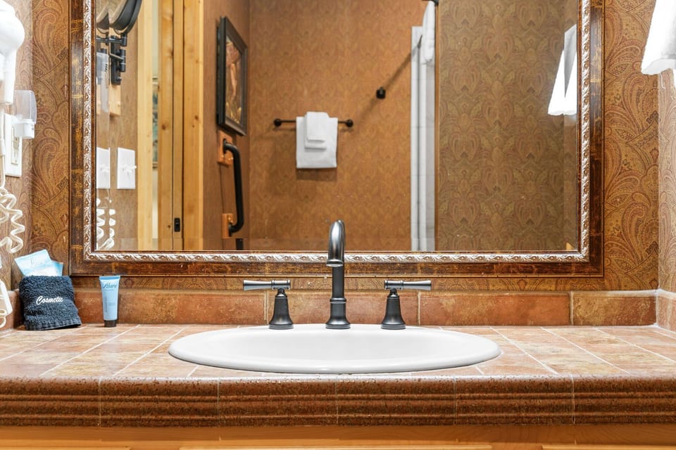 Master Bath- Handicap Shower Bar